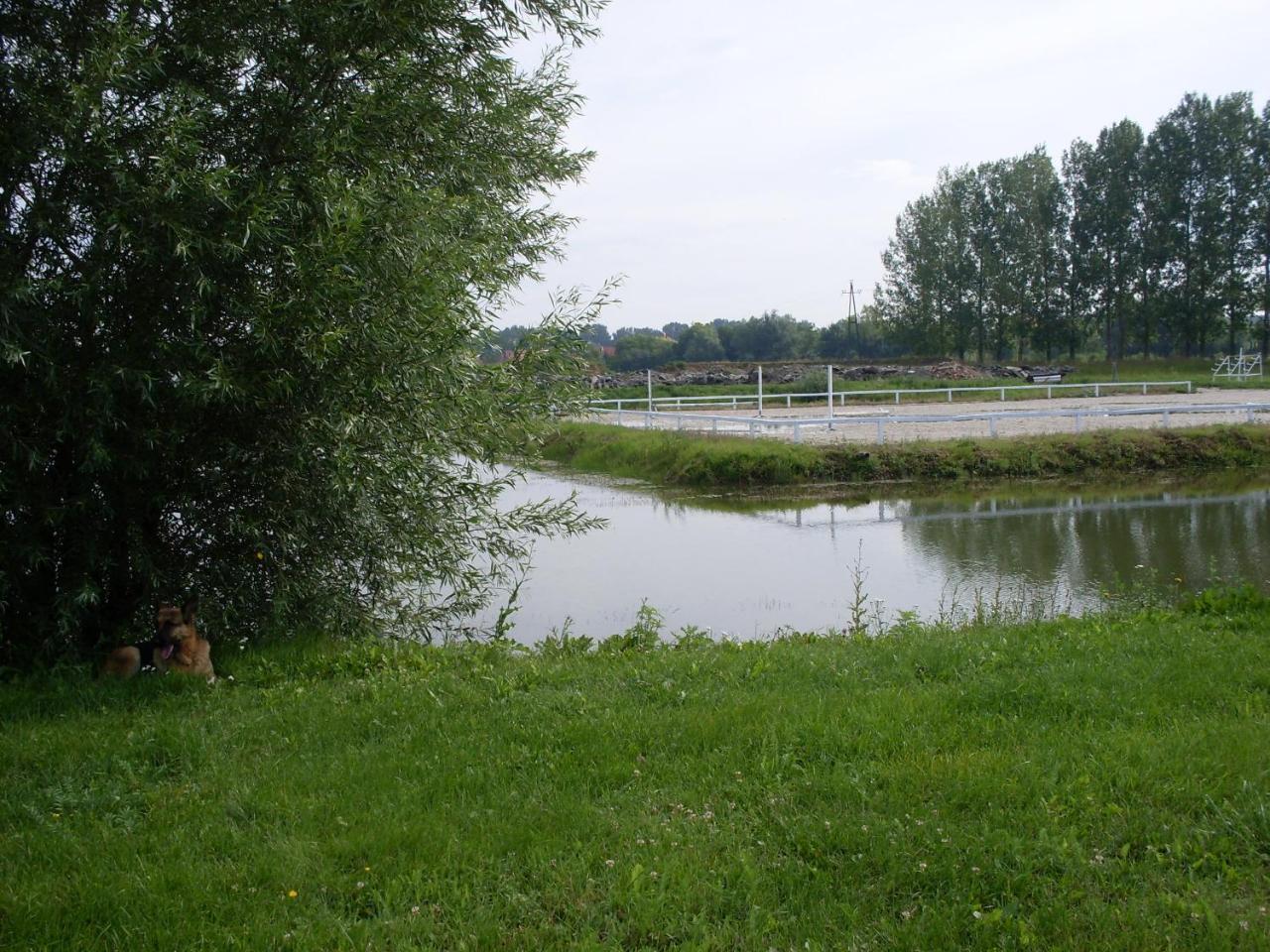 Nagybajcsi Lovaspark Es Otthon Vendeghaz Exterior foto